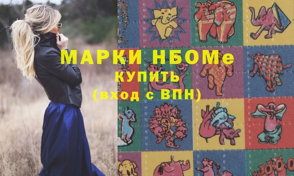гашик Снежногорск