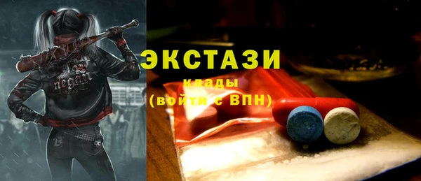 МДПВ Снежинск