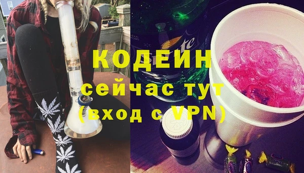 МДПВ Снежинск