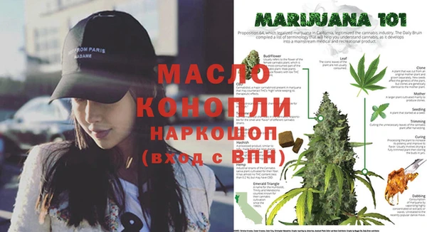 гашик Снежногорск