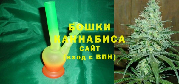 МДПВ Снежинск