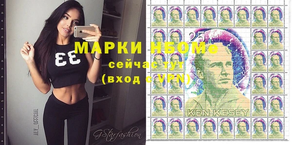 МДПВ Снежинск